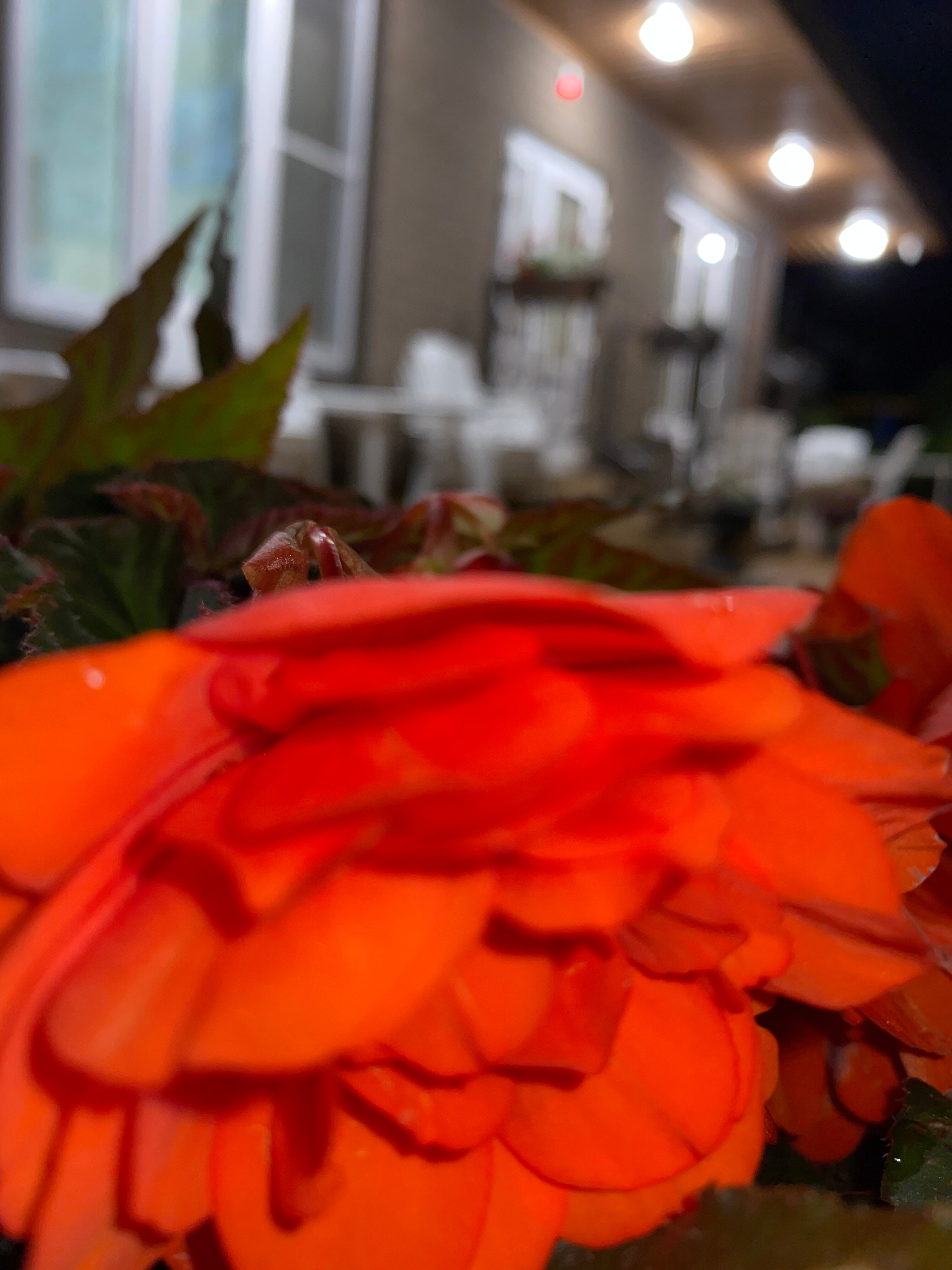 Фото Вилла с видом на горы