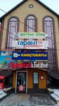 Фокс (Turkestanskaya ulitsa, 90/1), stationery store