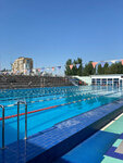 Спортивный центр (Admiralteyskaya Street, 45), swimming pool