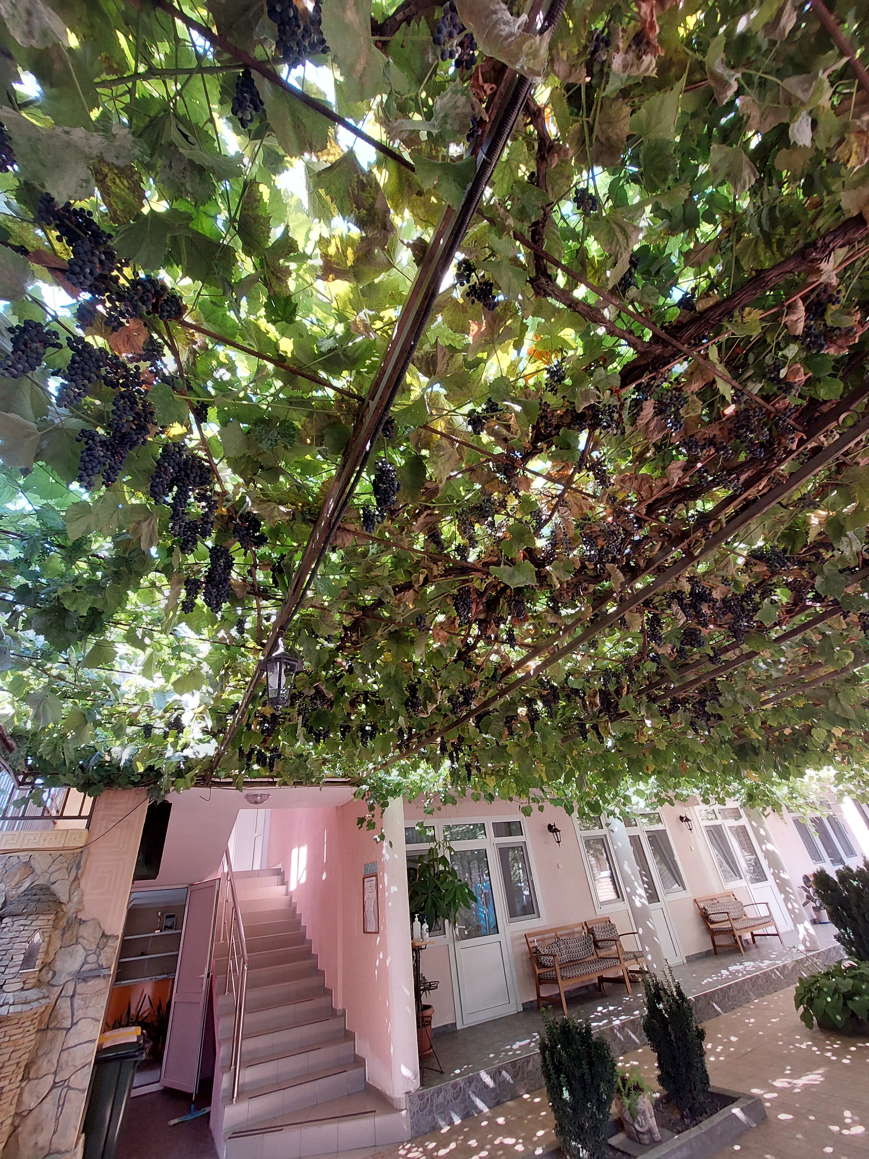 Фото Костас