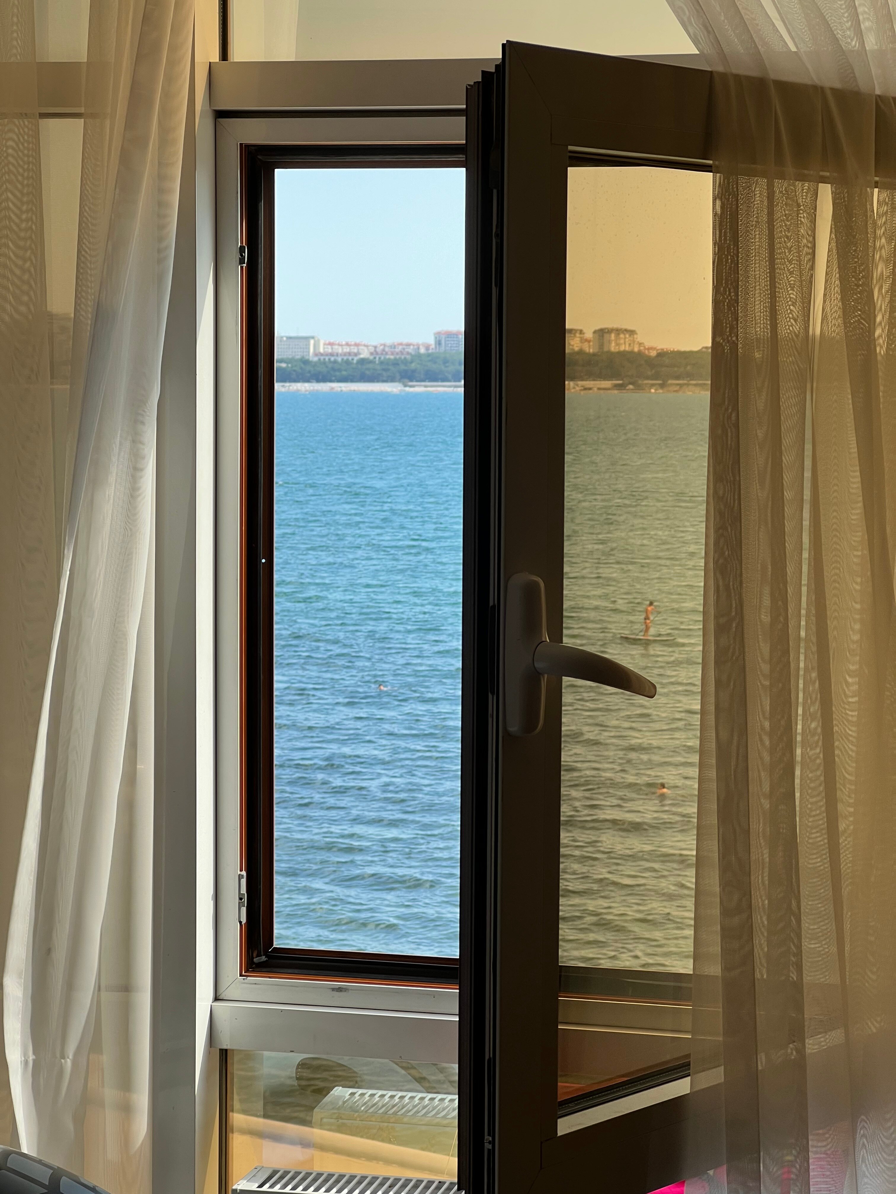 Фото Магнолия