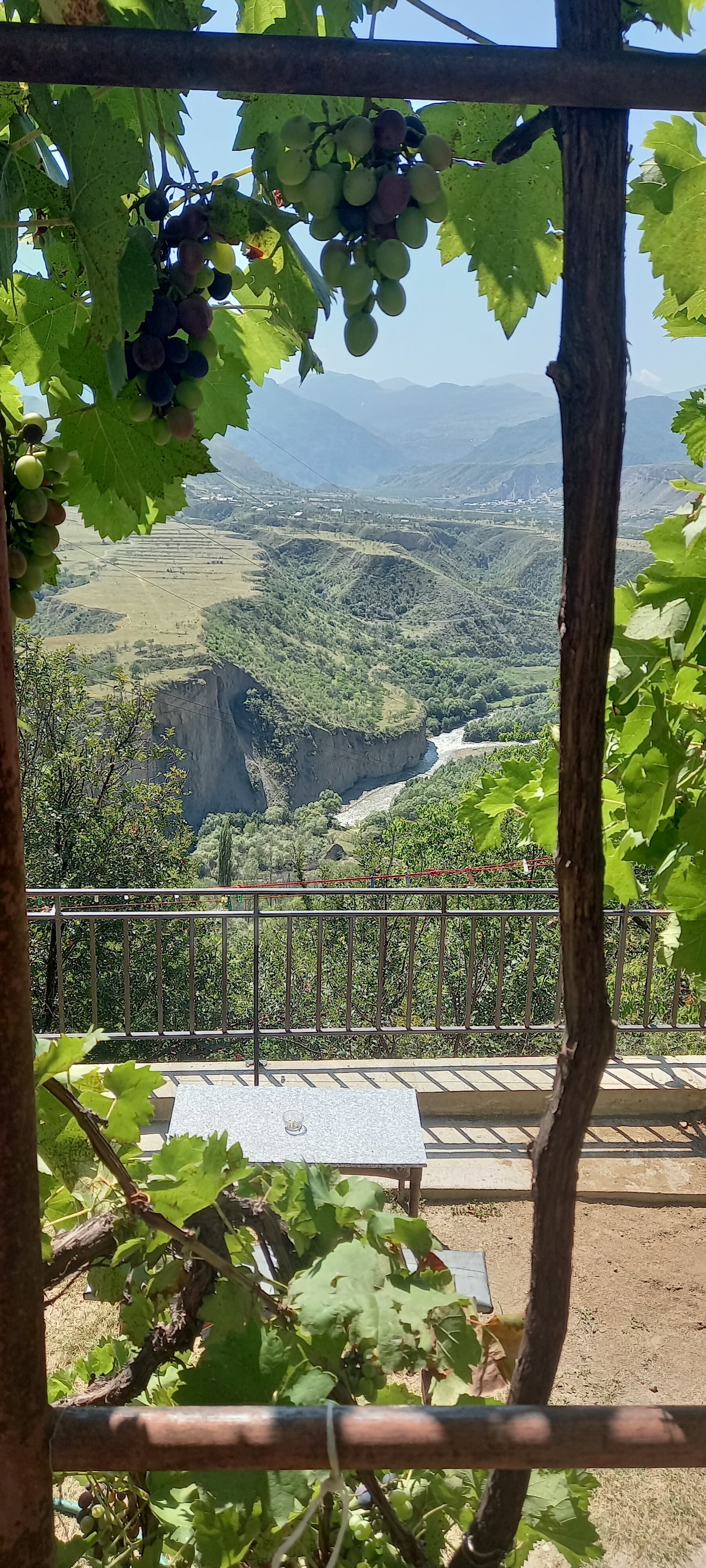 Фото Пение птиц