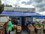 Mini-magazin Vitamin (Tashkentskaya Street, 97А), greengrocery