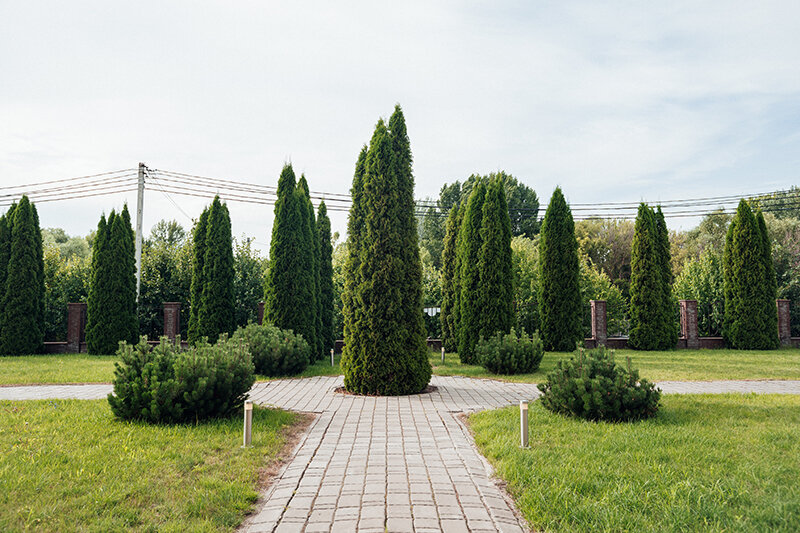 Фото Северная