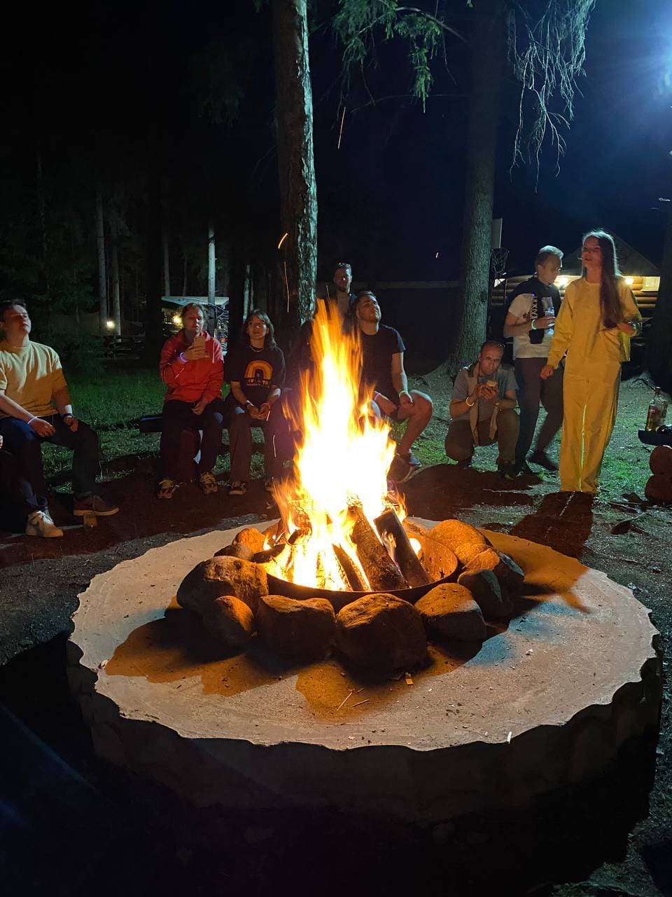 Фото Green forest