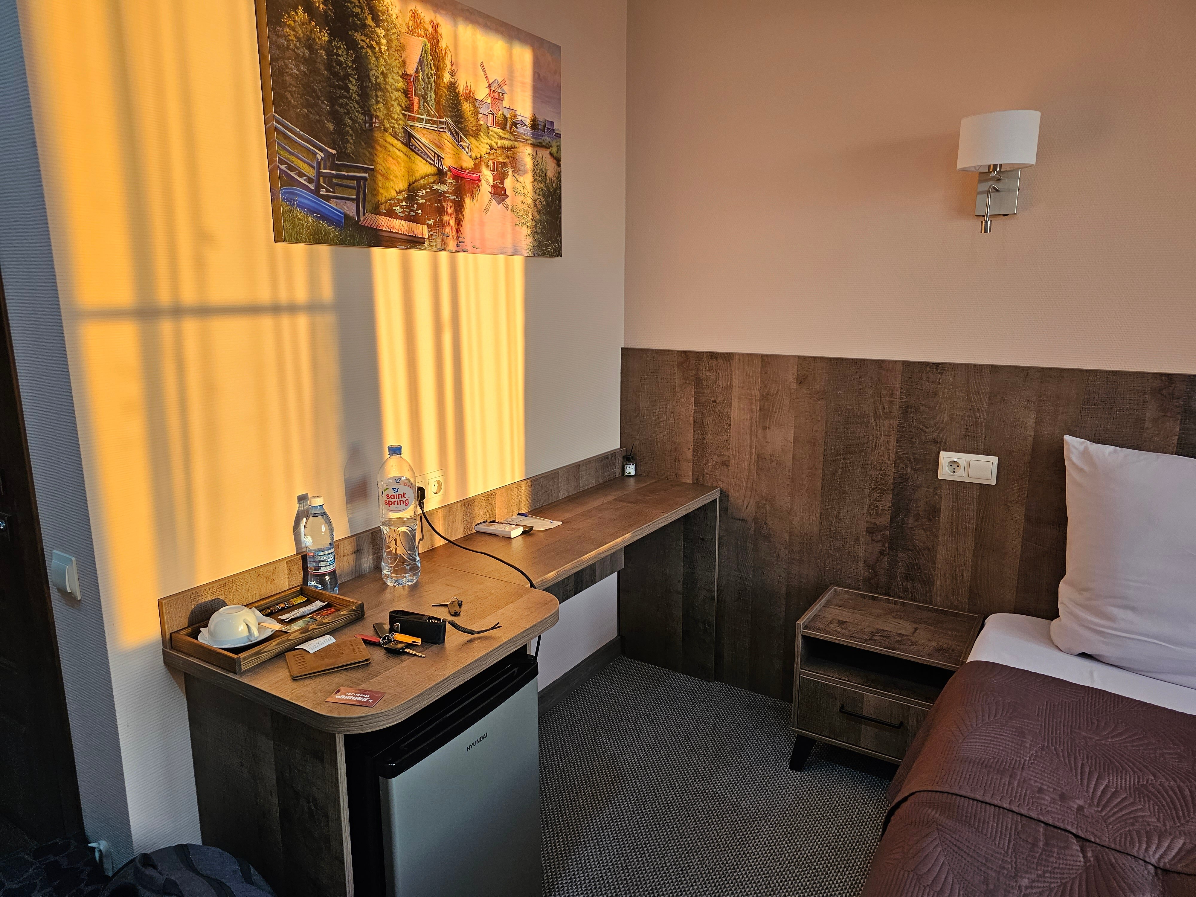 Фото Викинг