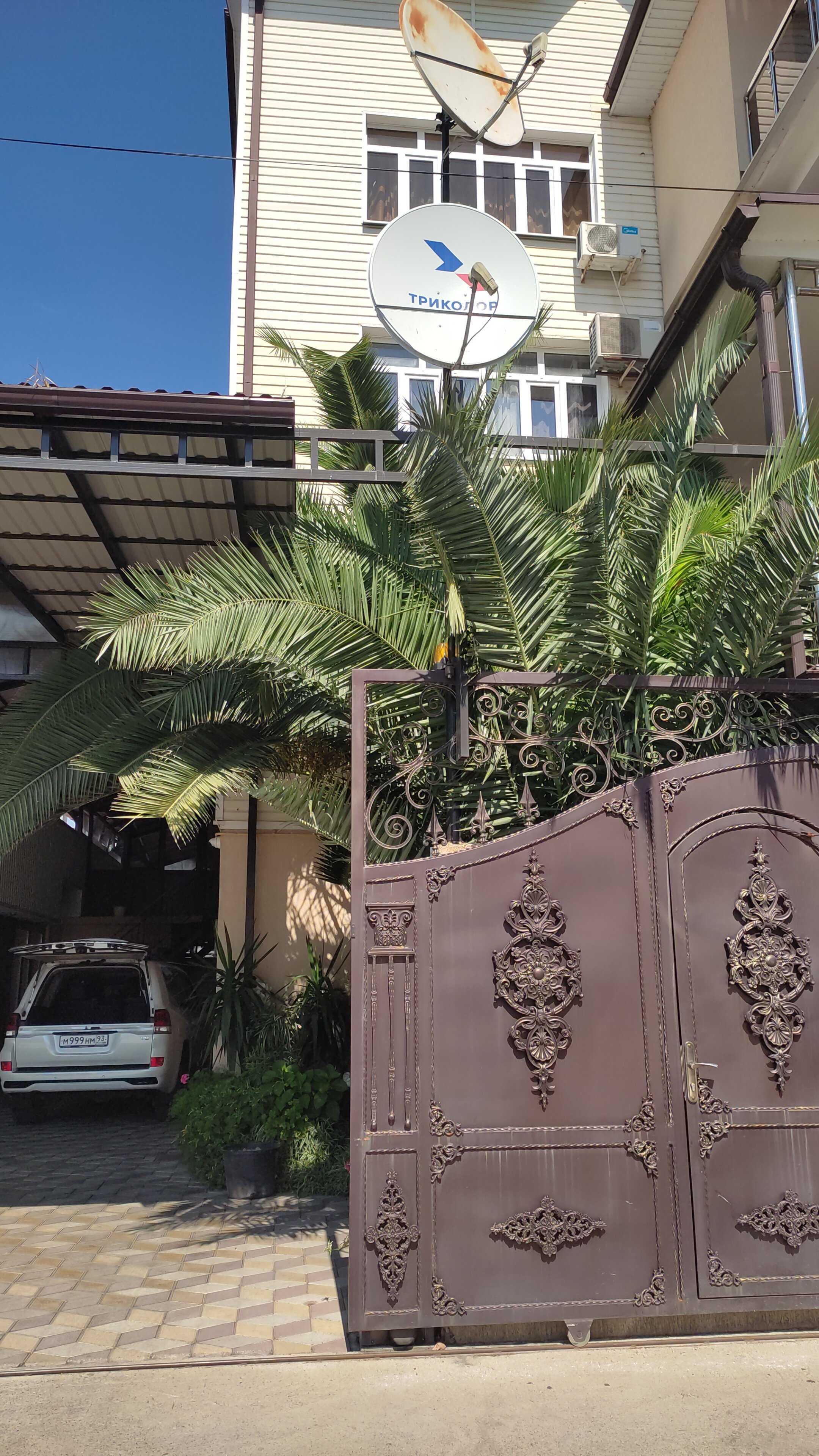 Фото Три Пальмы