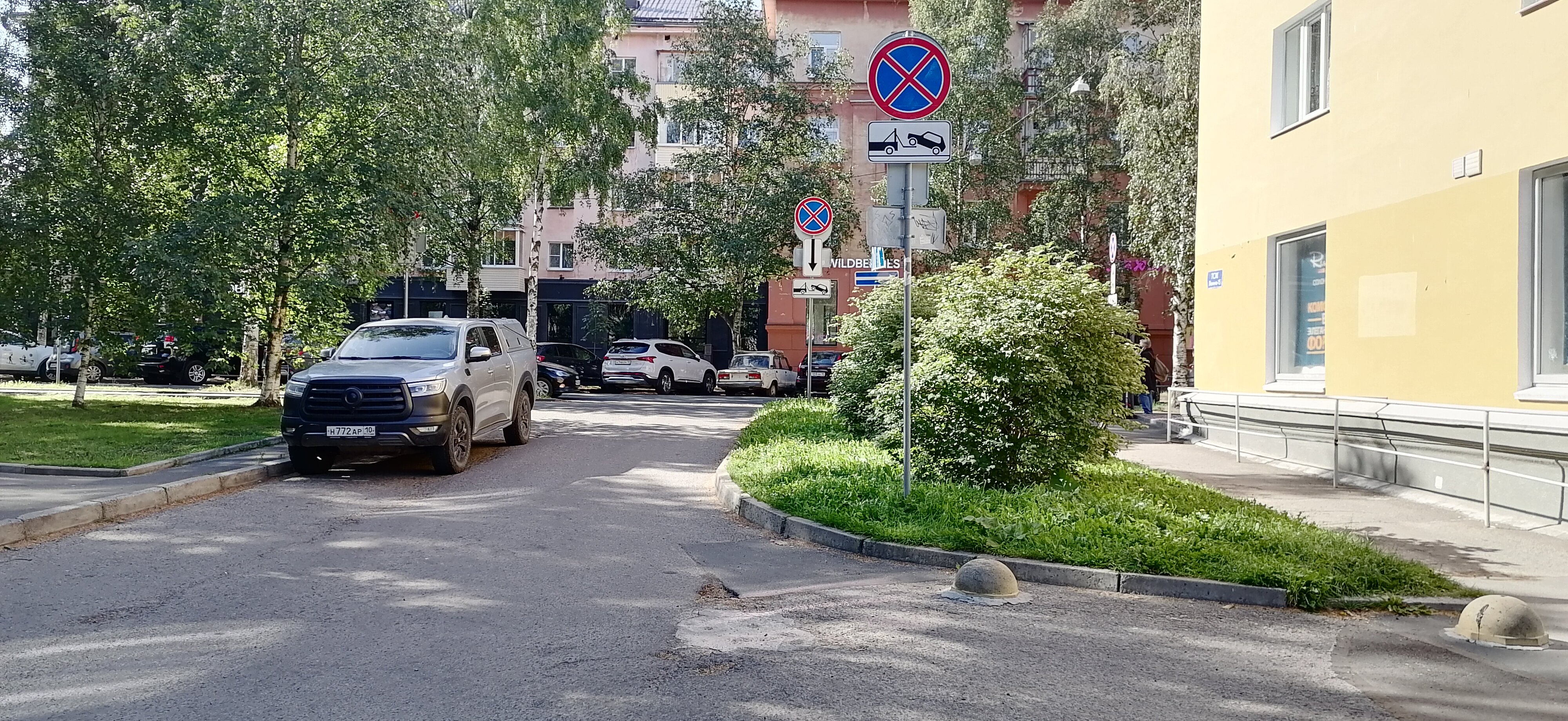 Фото Лайм