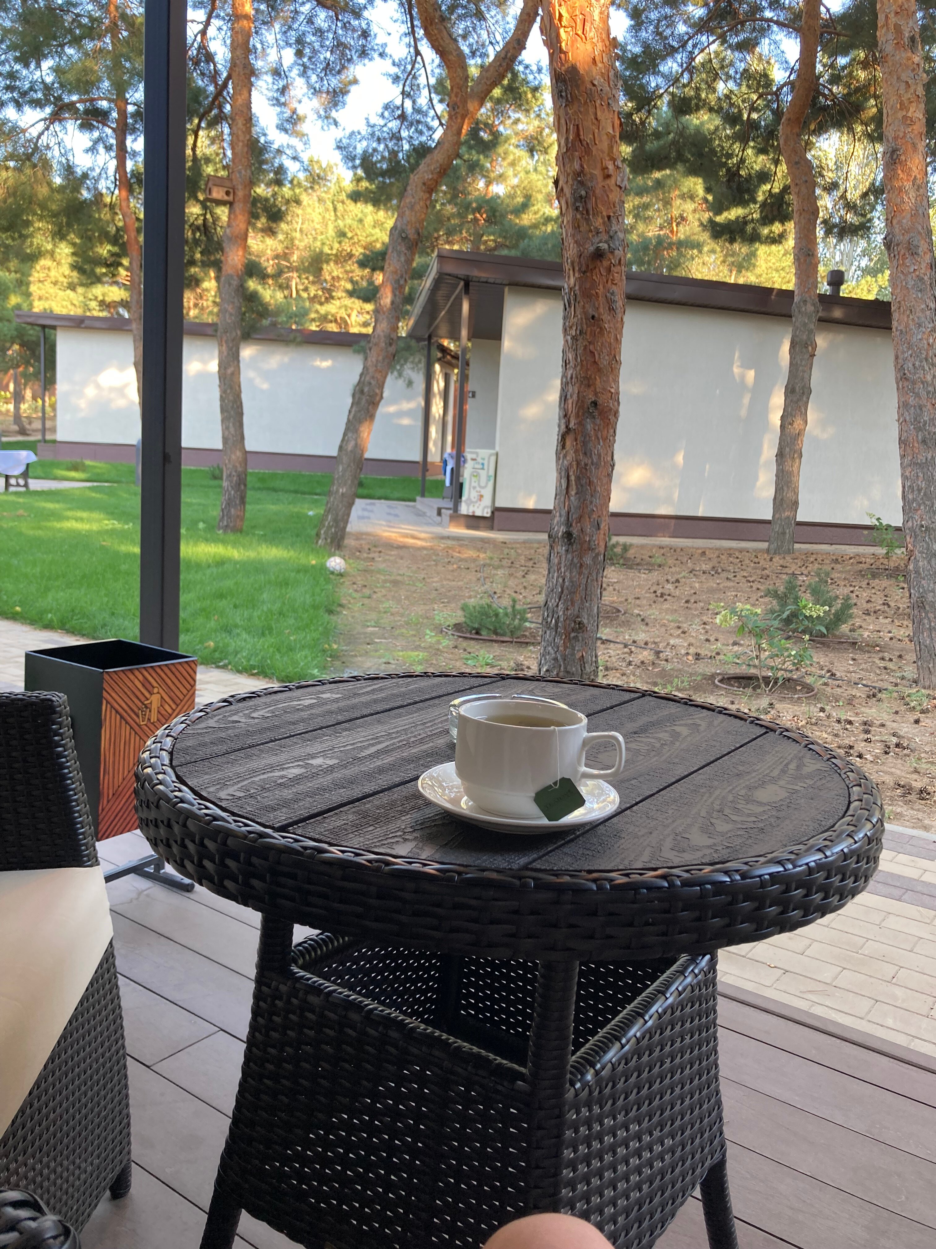 Фото Наша Хвоя