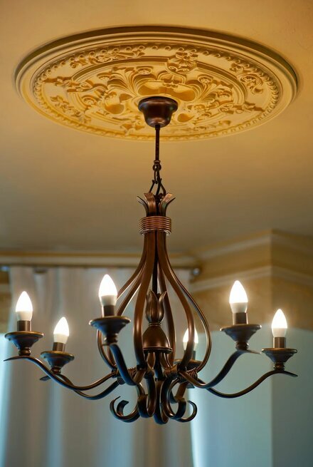 Фото Villa Plantage