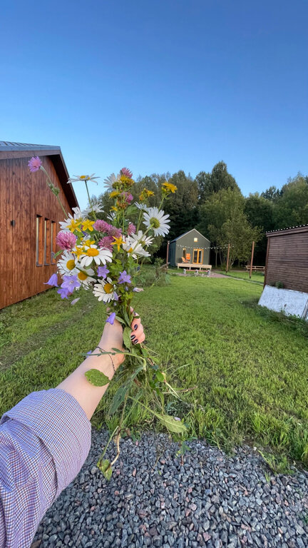 Фото Домики в поле