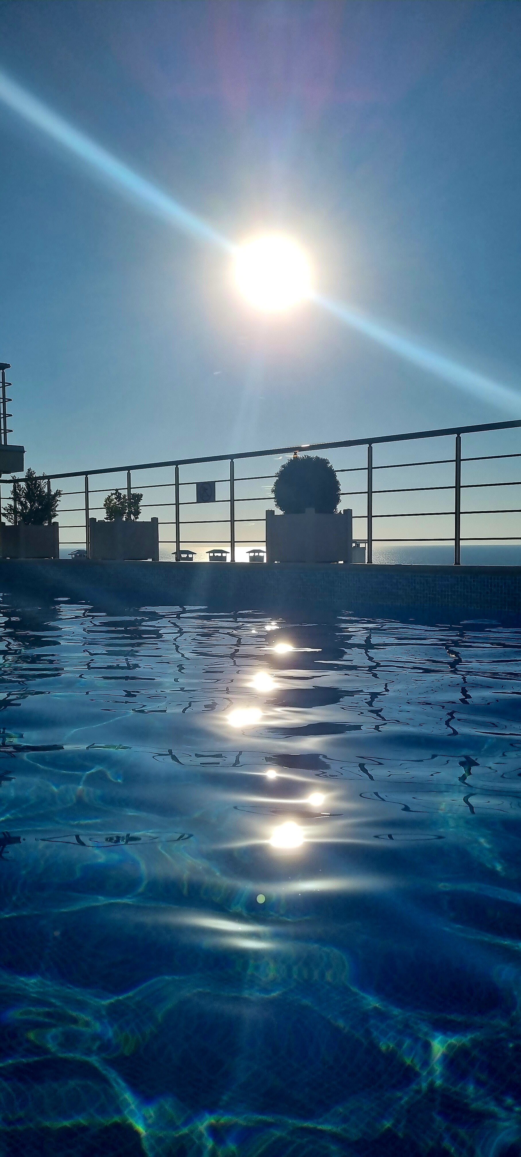 Фото Royal villa 2021