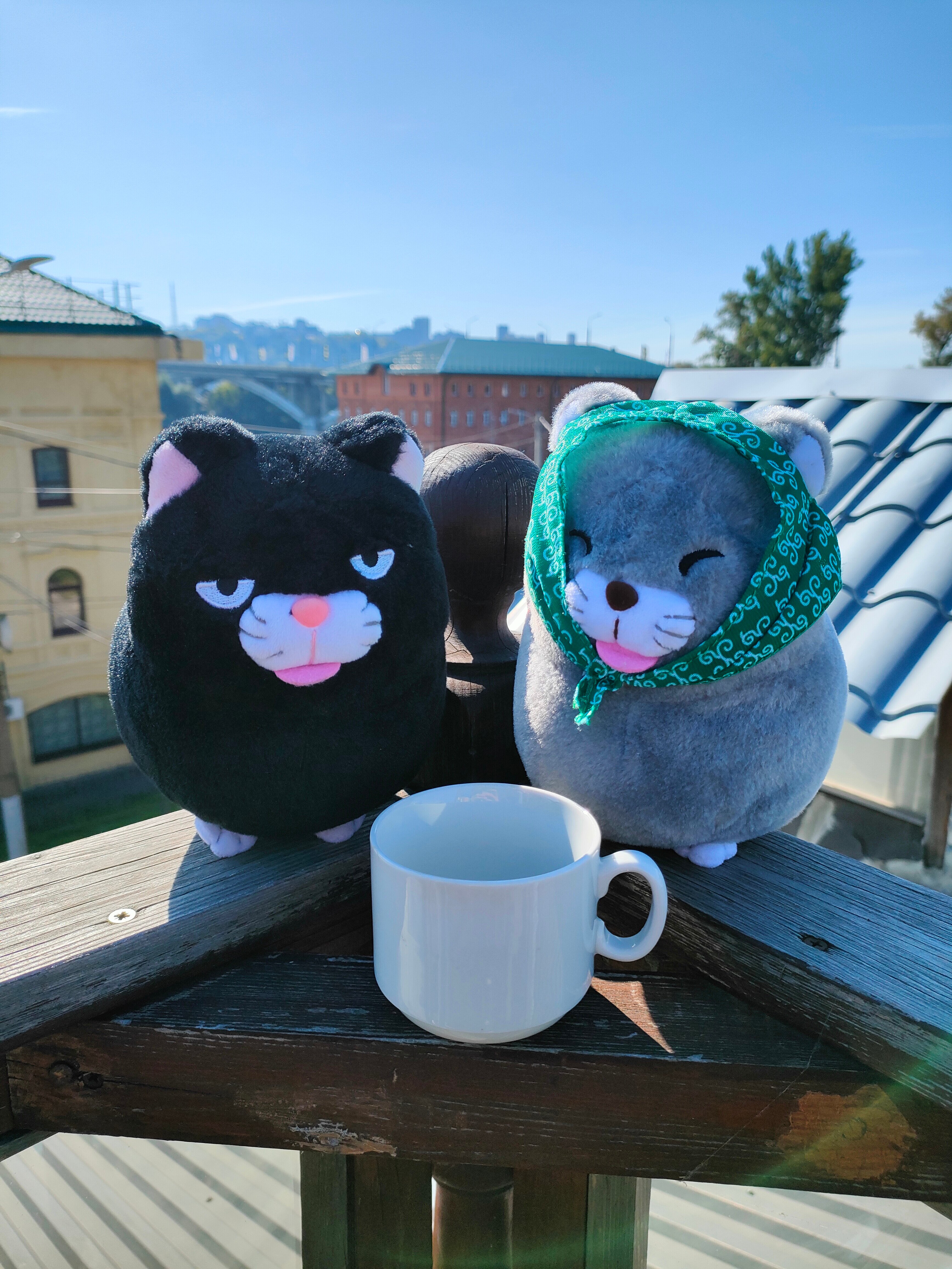 Фото Шинель