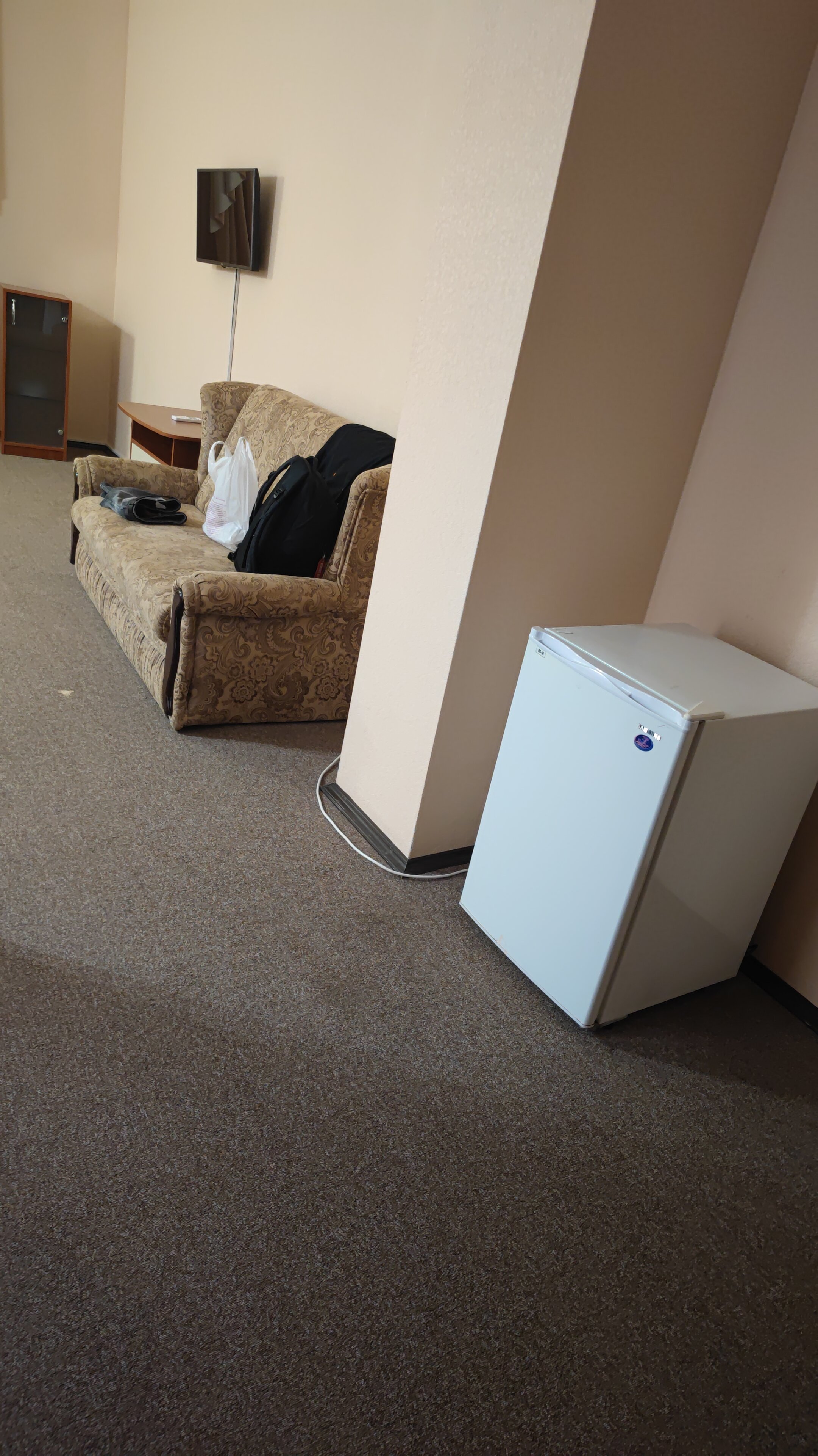 Фото Дельфин