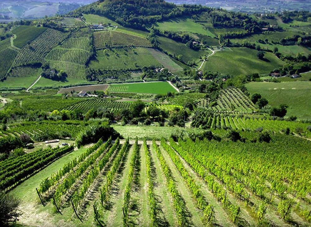 Фото Accademia Rimini