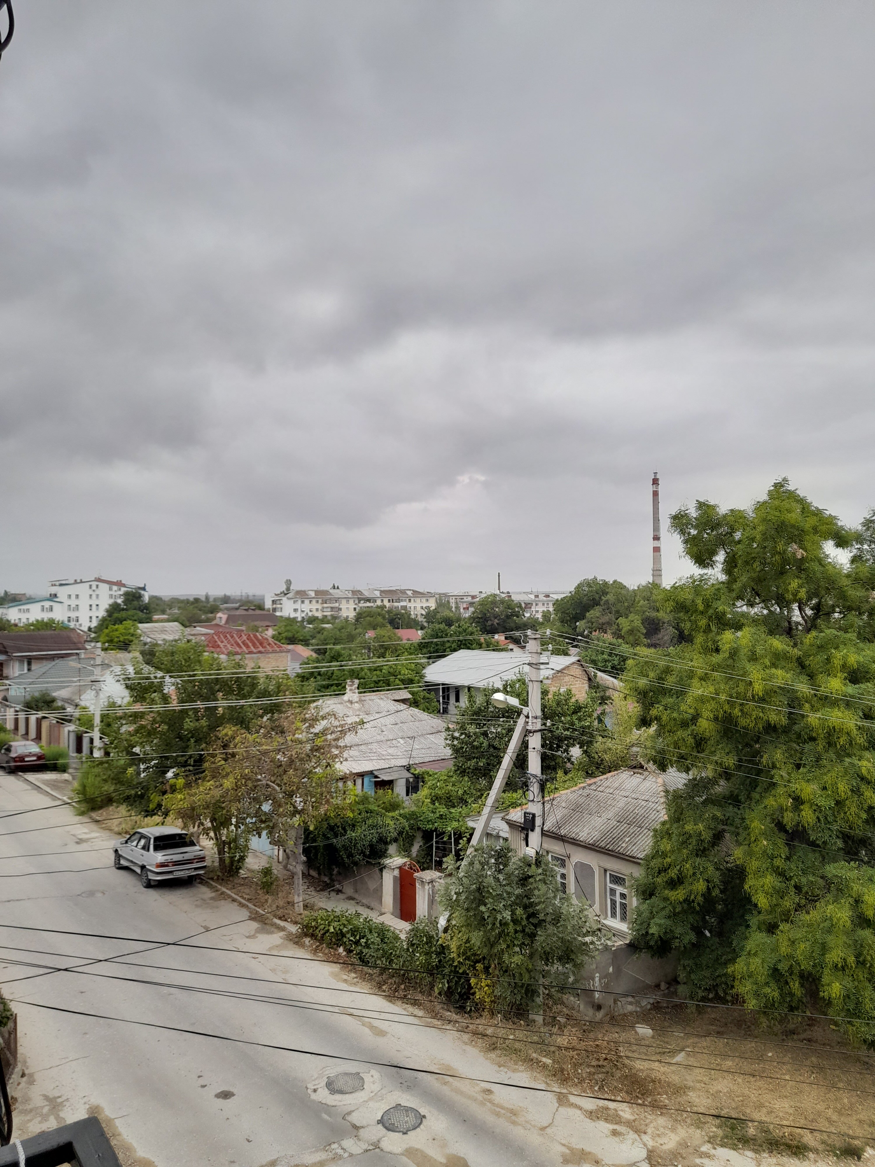 Фото Горлица