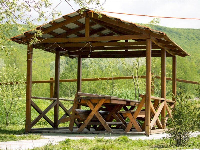 Фото Светлячок