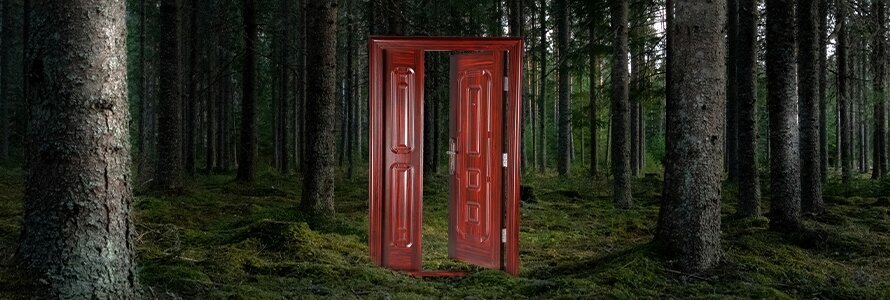 Doors Cuirass International LLC, Dubai, photo