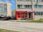 Аптека низкие цены (ulitsa imeni A.V. Plyakina, 3А), farmacia