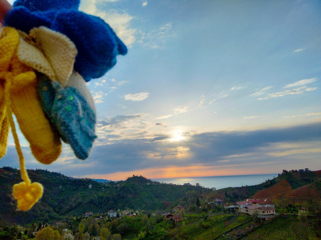 Hostel Patik Pansiyon, Ardesen, photo