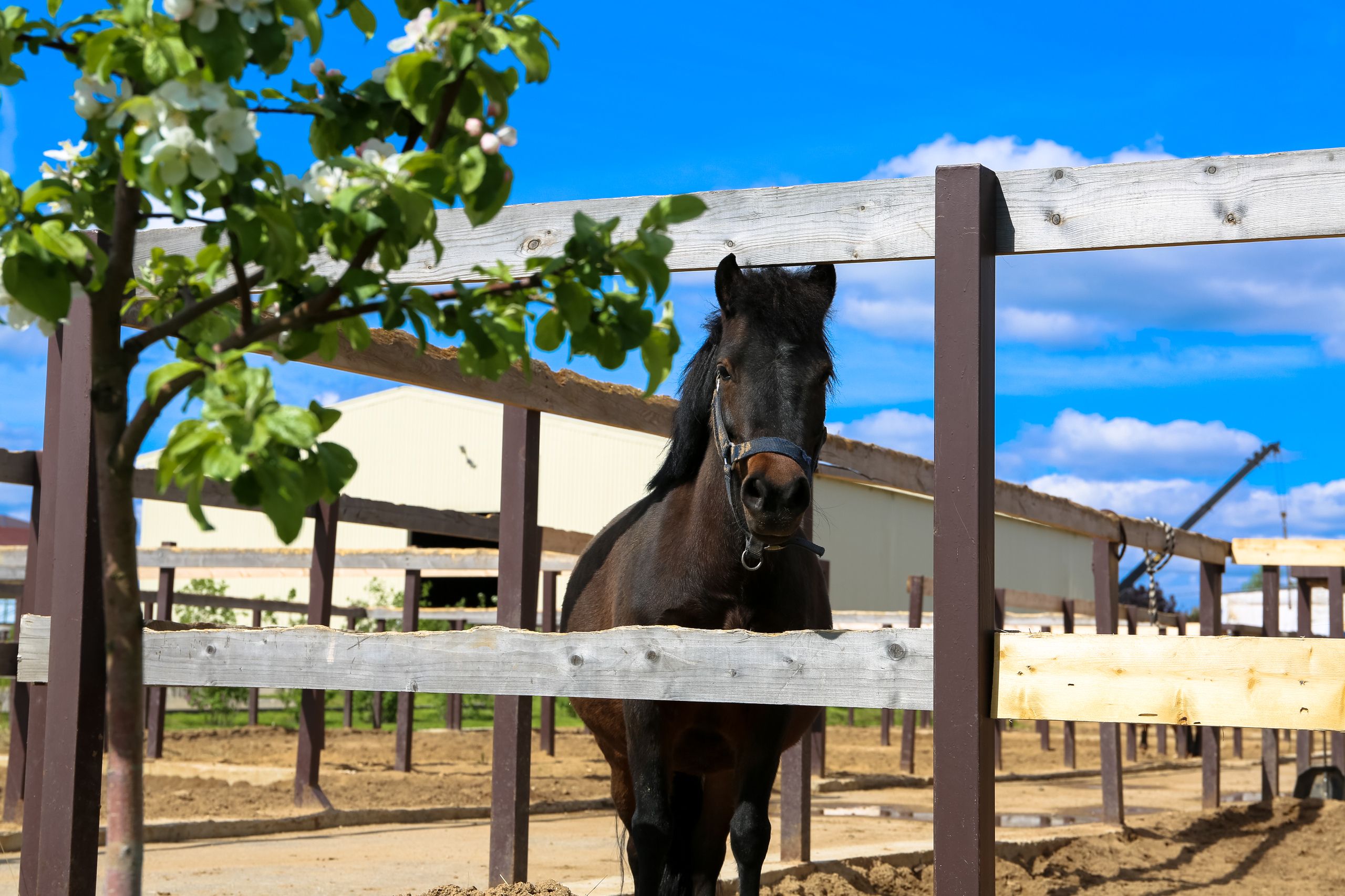 Фото Максима Парк