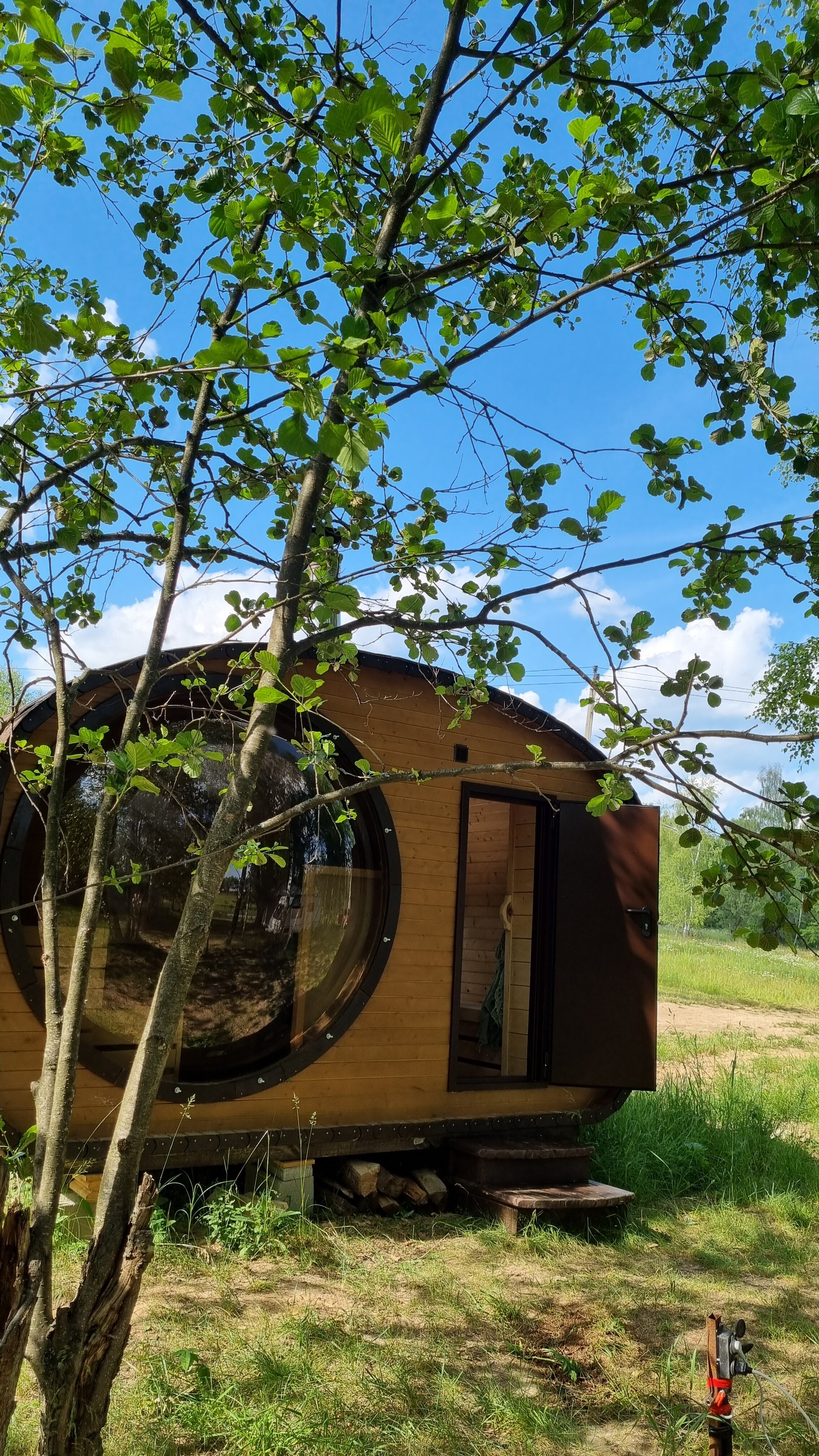 Фото Малина