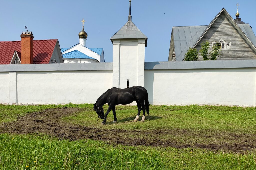 Монастырь Свято-Васильевский мужской монастырь, Суздаль, фото