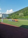 Sports school № 6 (Lazarevskoe Residential District, Kolkhoznaya ulitsa, 3), escuela deportiva