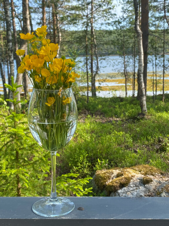 Фото Точка Притяжения