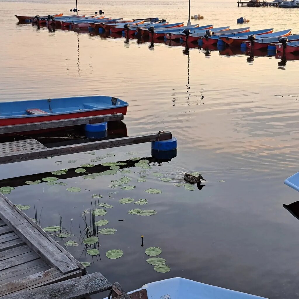 Водная база, лодочная станция Вуокса-Спорт, Приозерск, фото