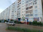 Zoo lavka (Petra Alekseeva Street, 83/9), pet shop