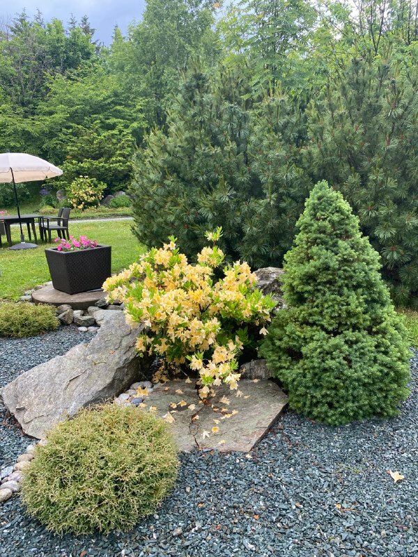 Фото Santa Resort Hotel