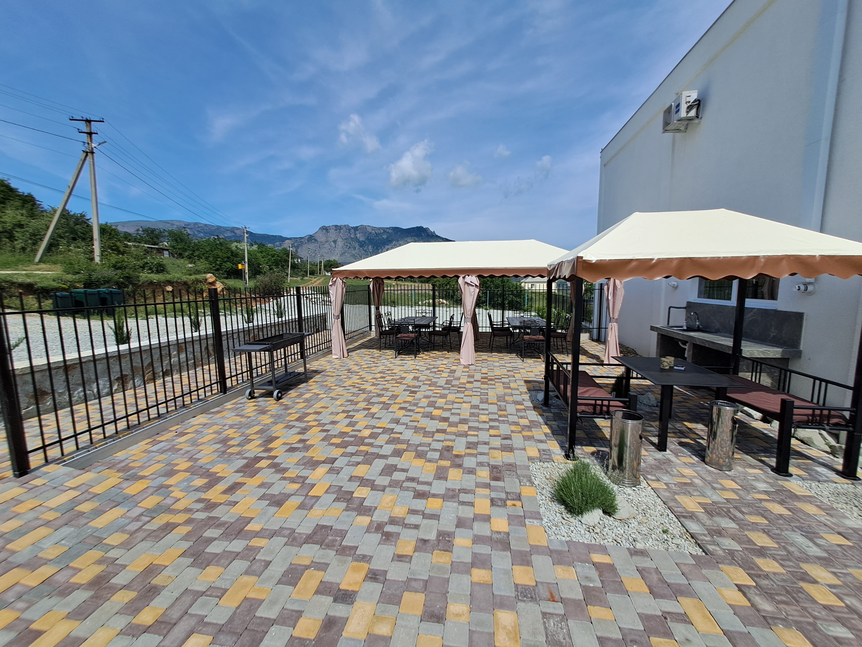 Фото Горная лаванда