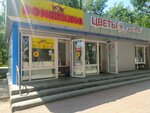 Cvety dlya vas (Al-Farabi Avenue, 71/1) ، محل زهور