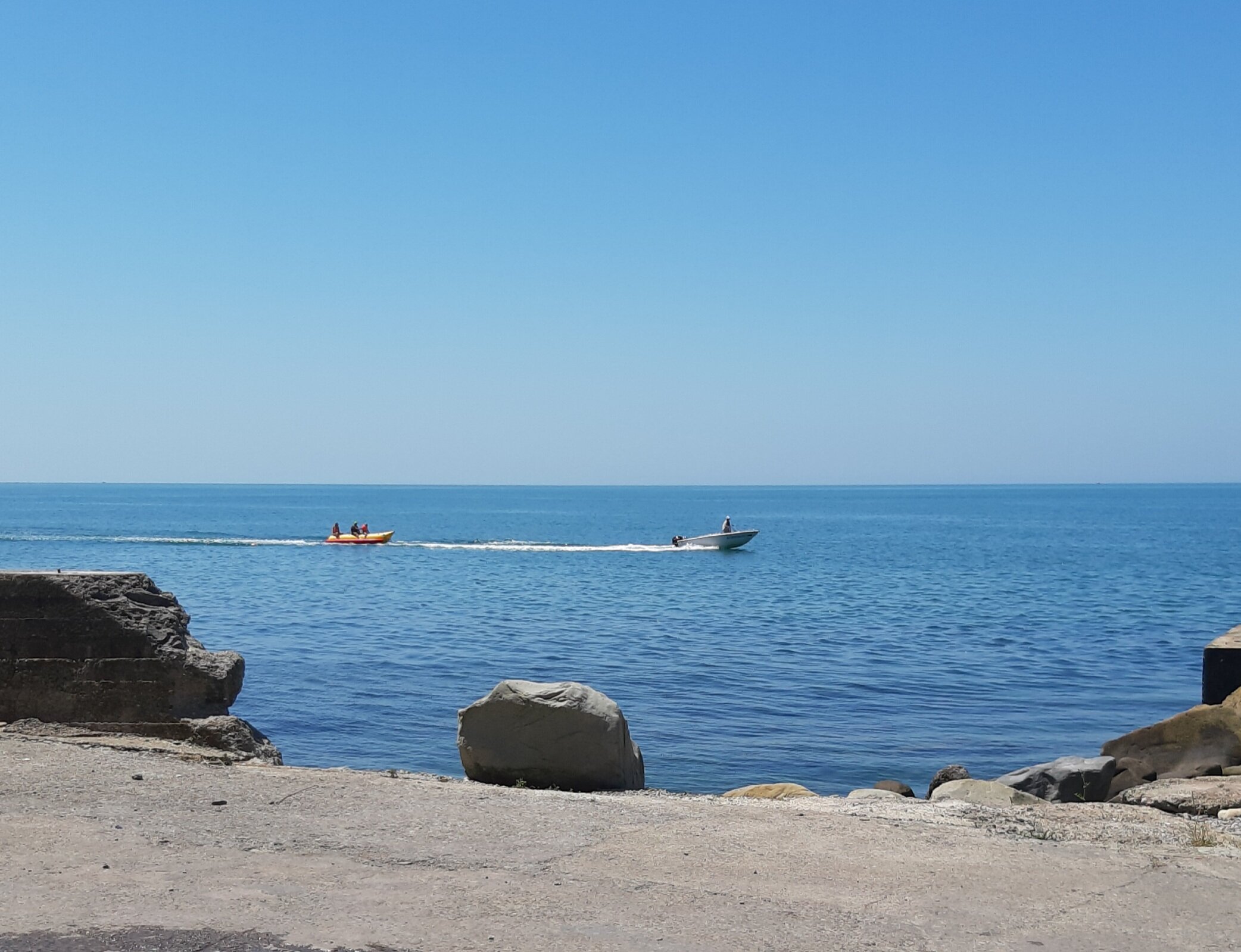 Фото Ариода