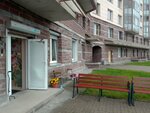 Оранжевый кот (Shuvalovskiy Avenue, 37к1) ، منزل الصعود للمسنين والمعوقين