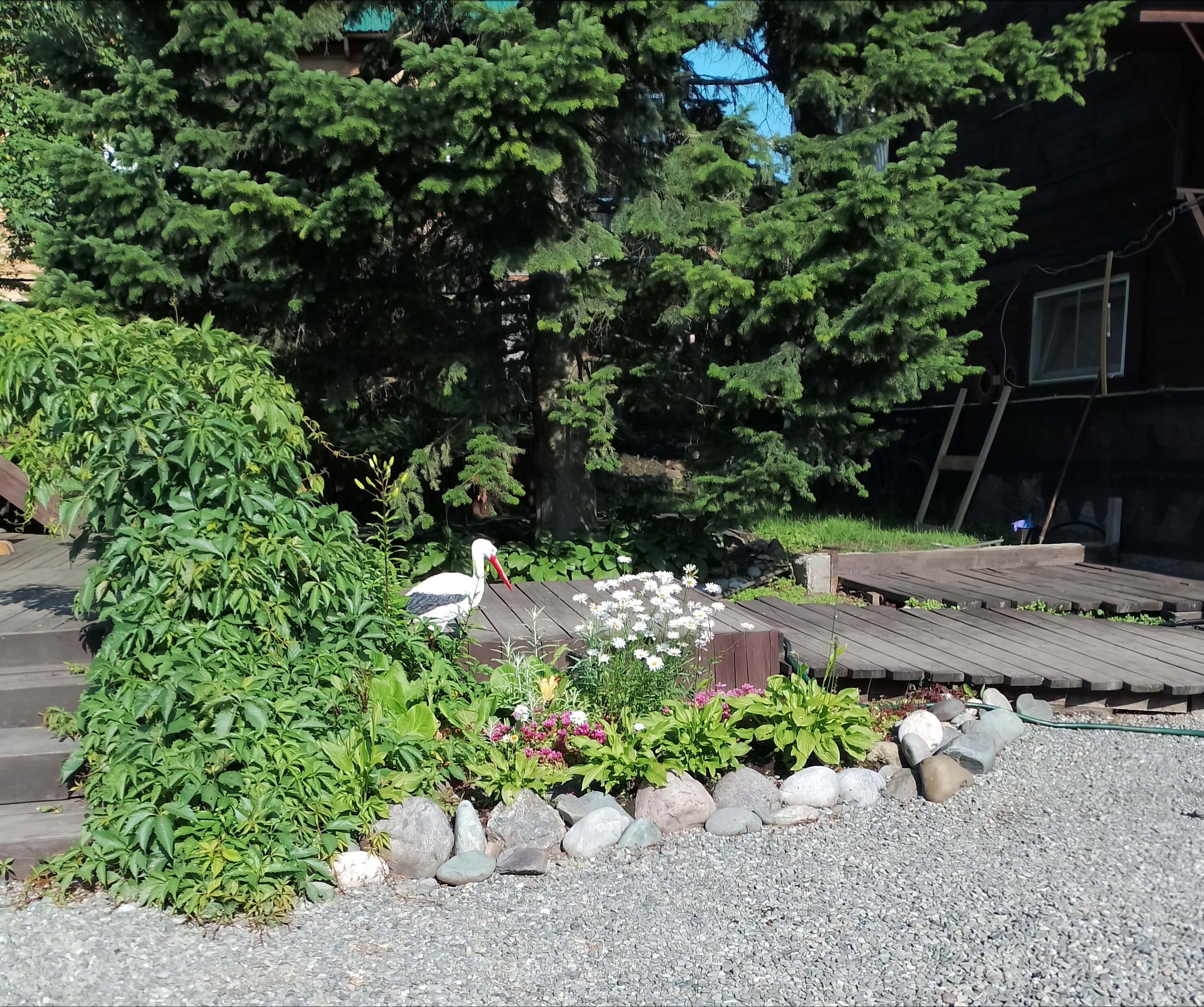 Фото Удачный