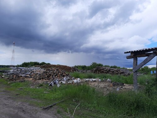 Лесоустройство, лесовосстановление Лесопитомник, Саратовская область, фото