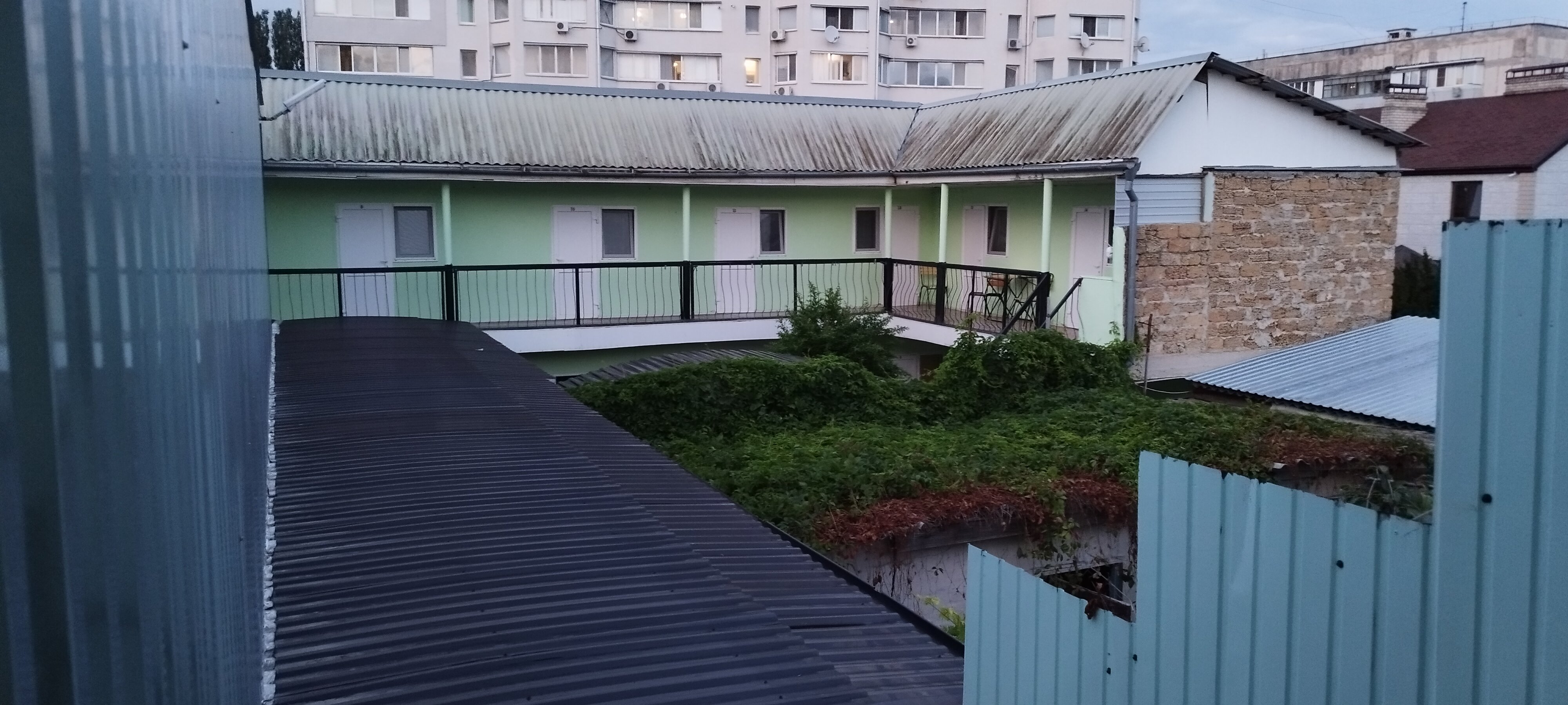 Фото Сильвия