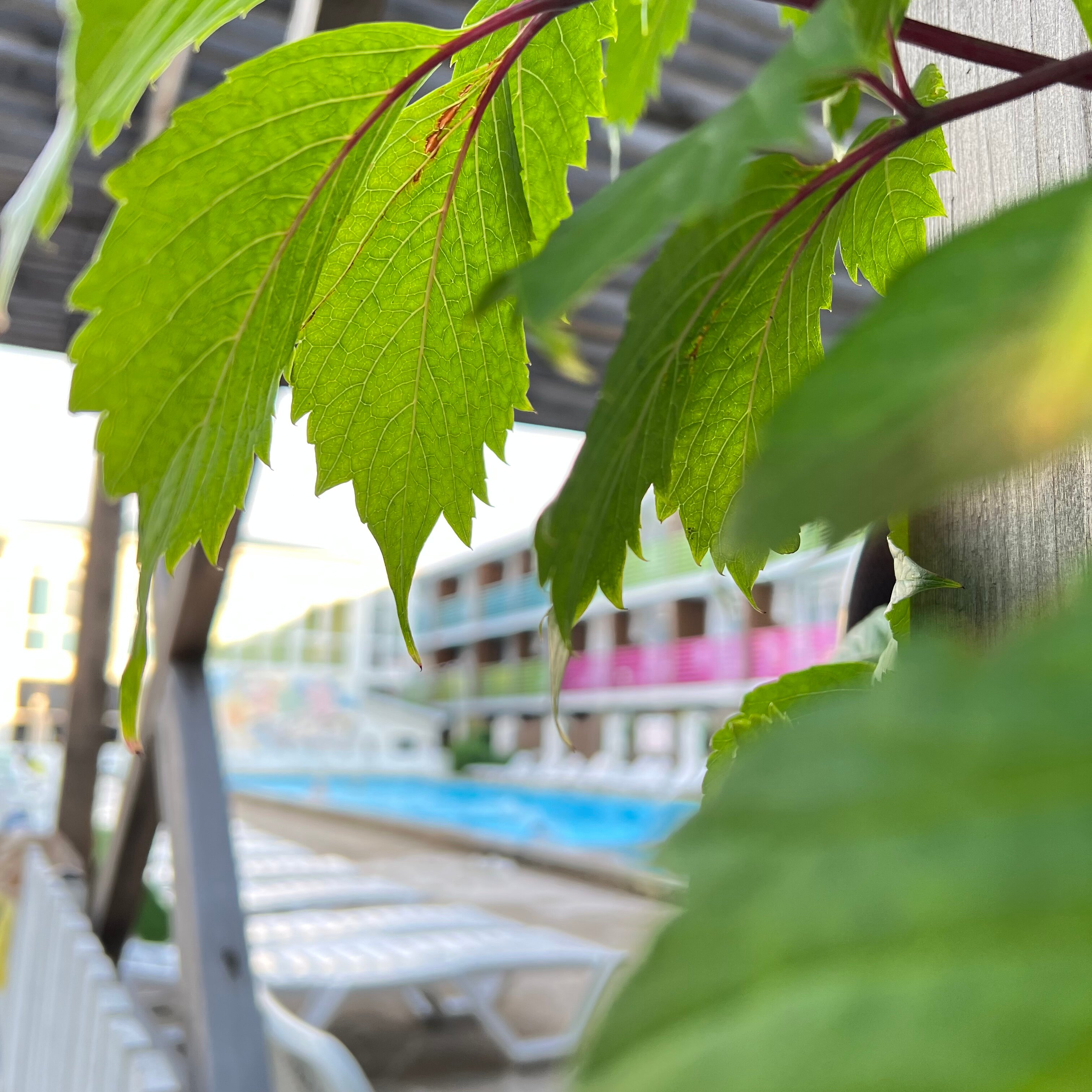 Фото ГринПарк