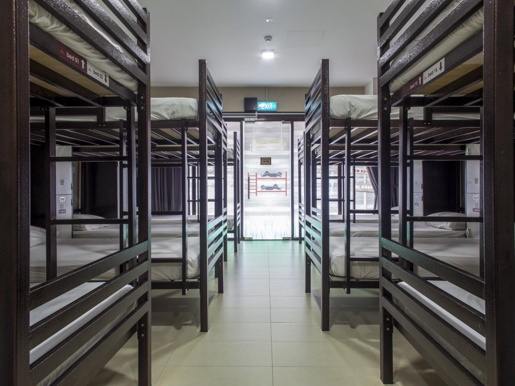 Фото Adamson Lodge - Hostel