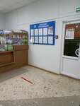 Госаптека (selo Kuyanovo, Lesnaya ulitsa, 30), pharmacy