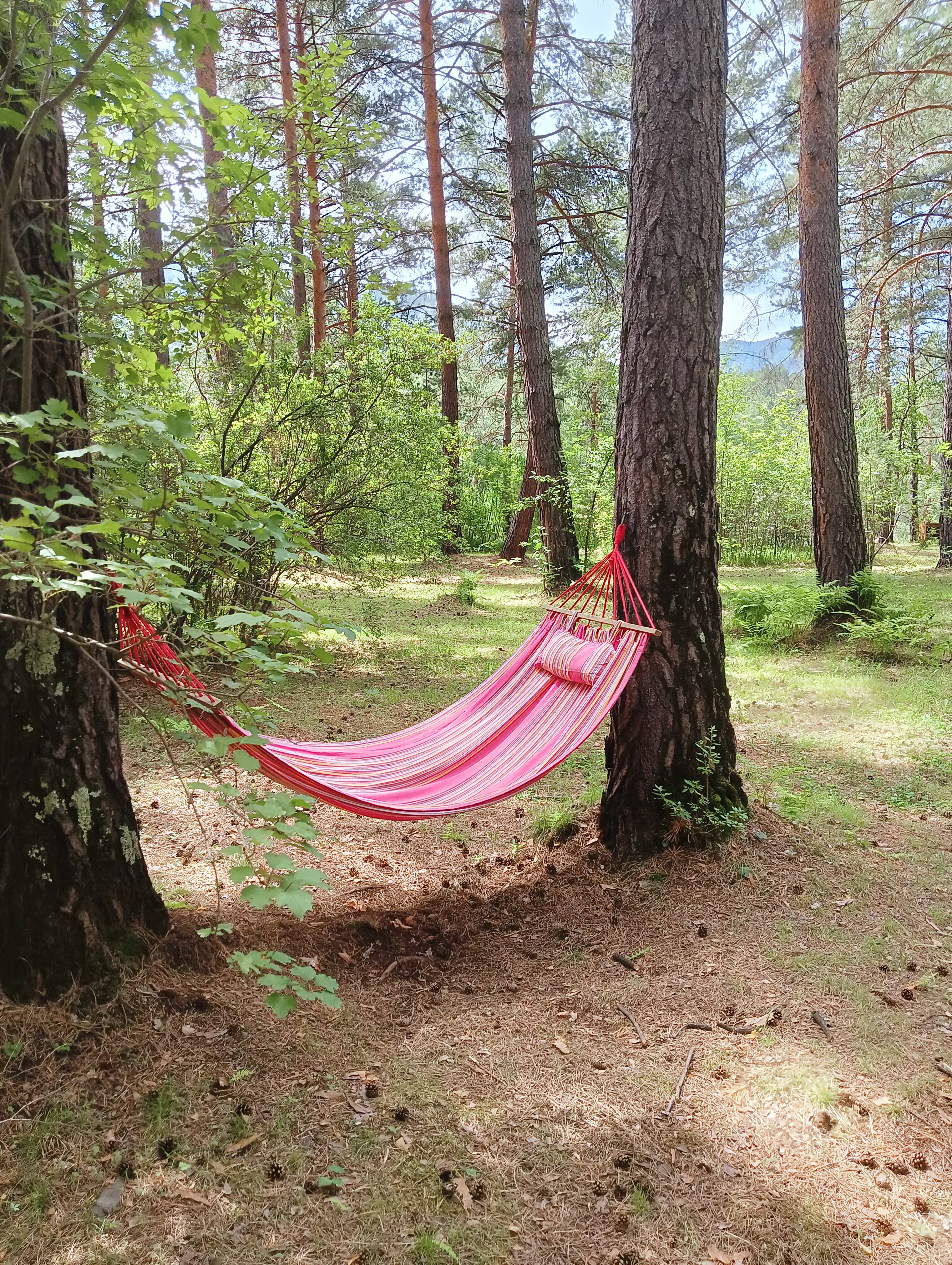 Фото Дача в Узнезе