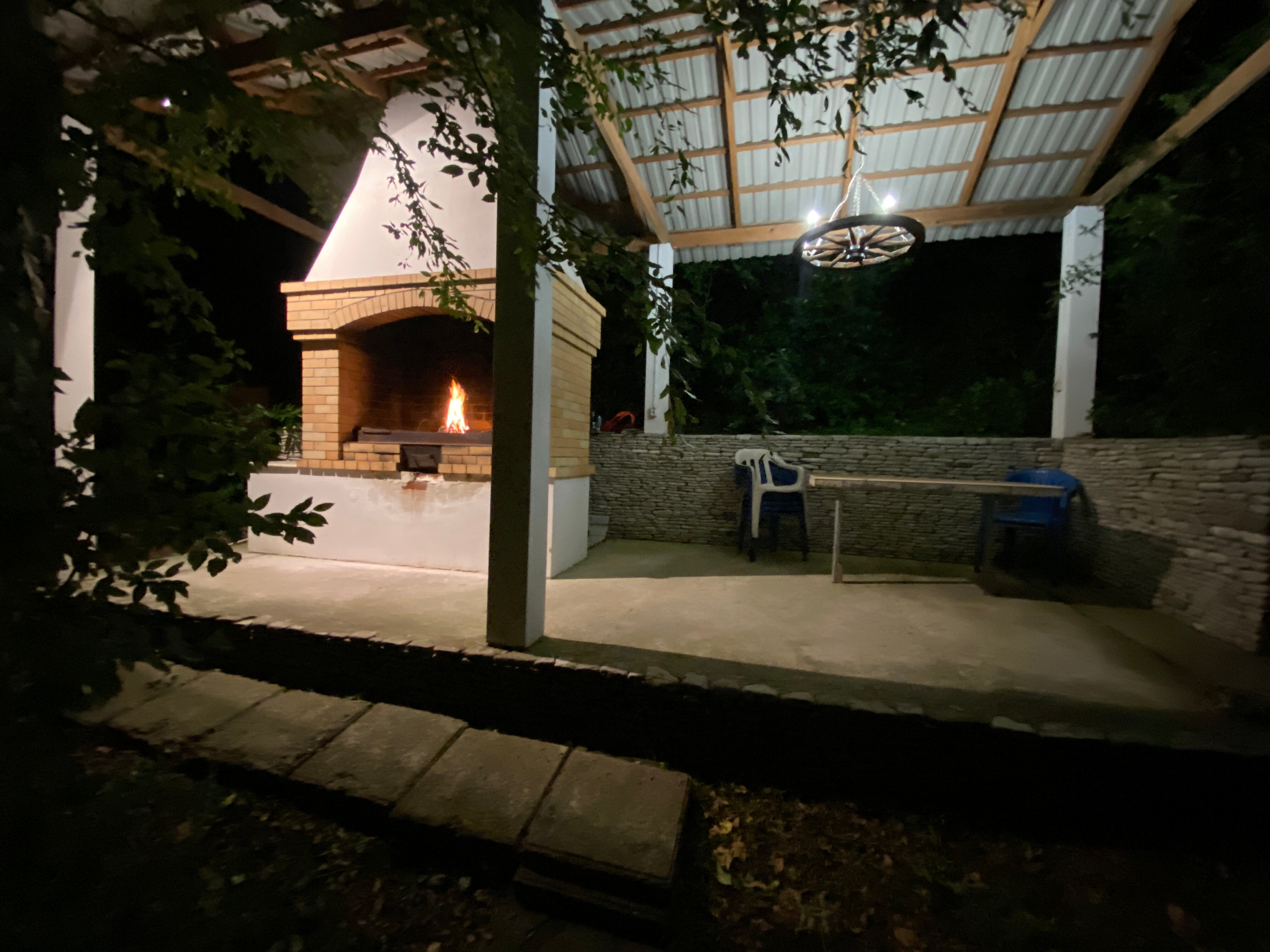 Фото Золотая рыбка