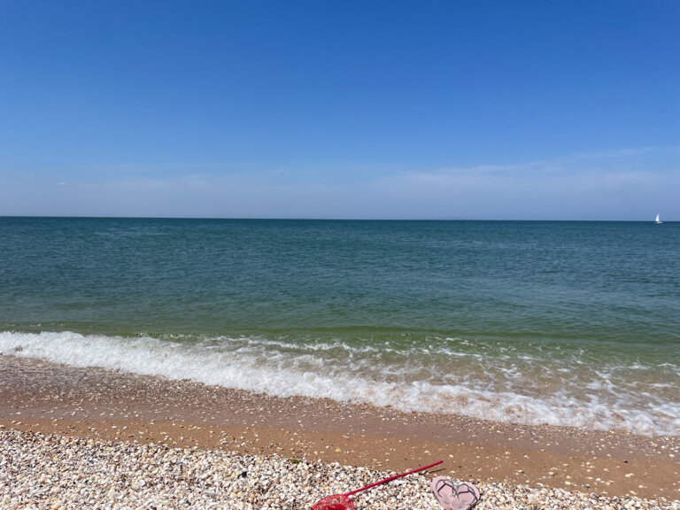 Фото ИТ-Парк