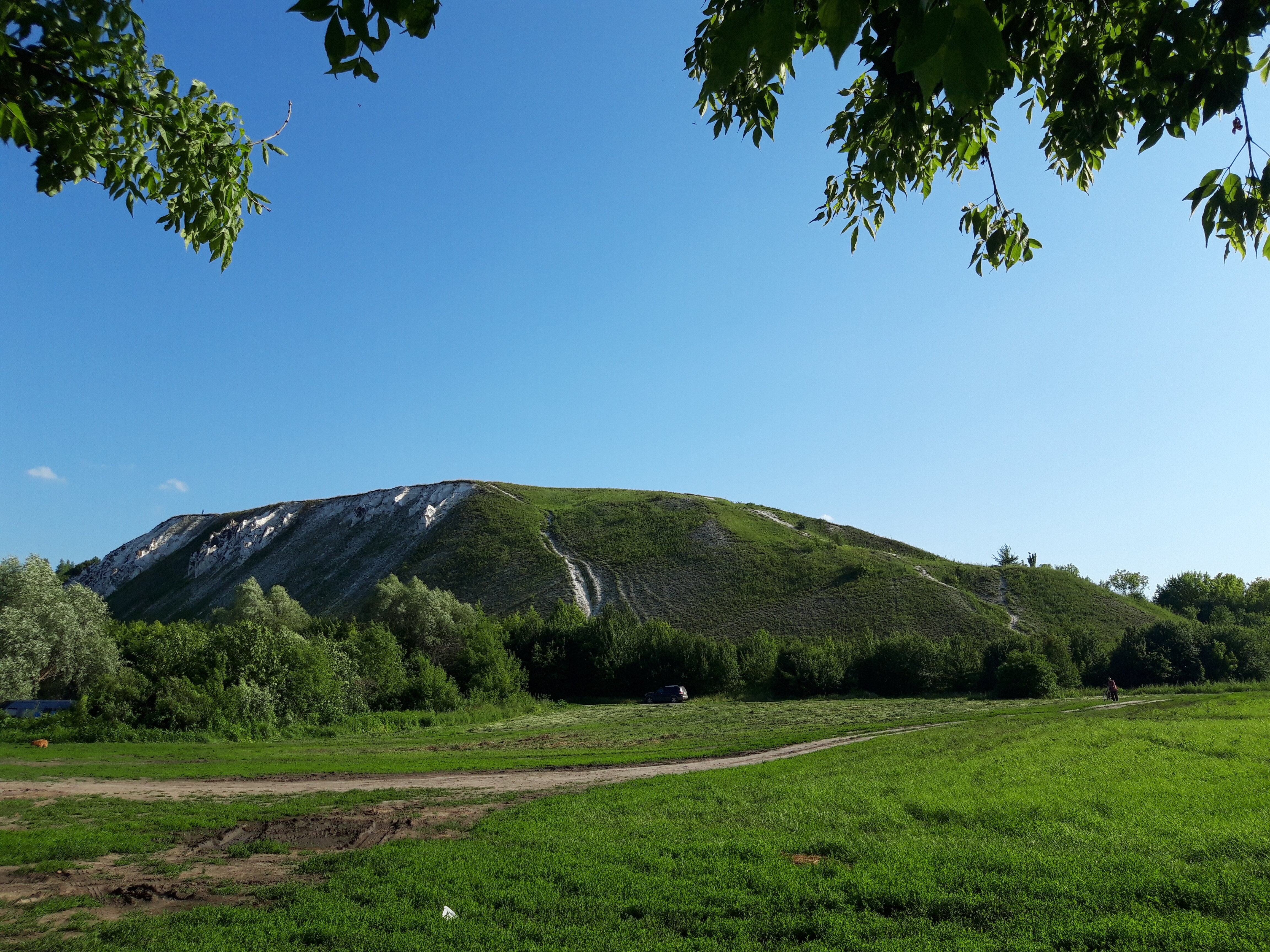 Фото Тихие Дивы