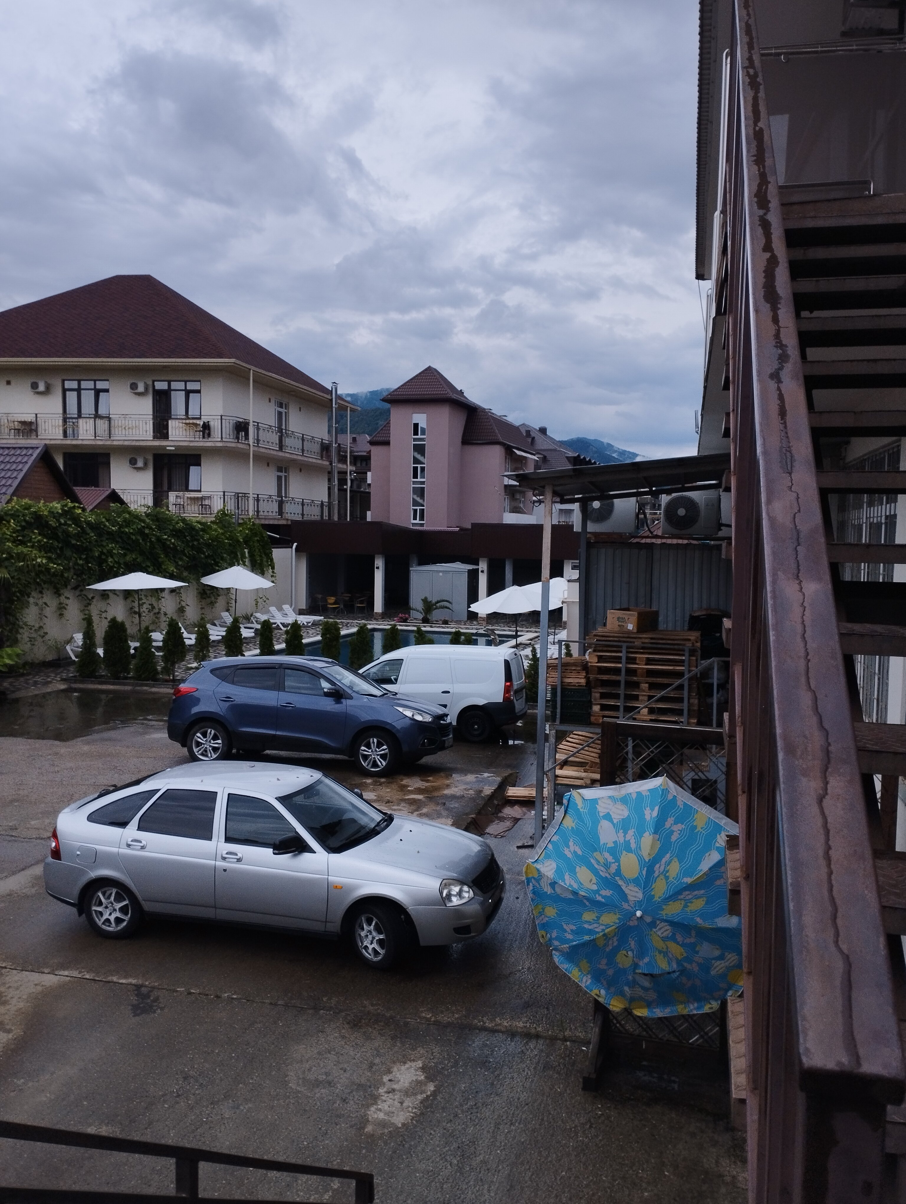 Фото Афалина+