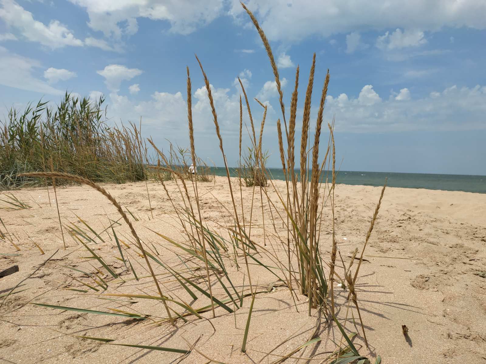 Фото Наш Казантип