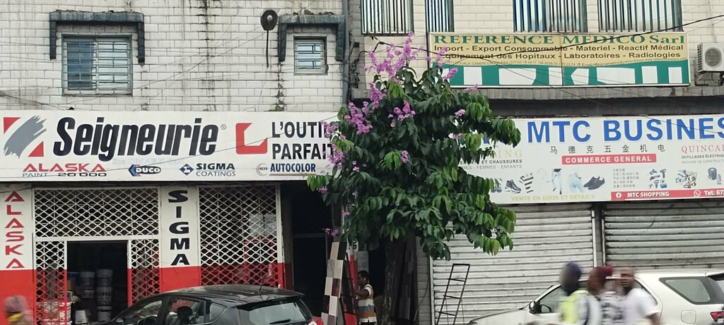 Department store Sigma, Douala, photo
