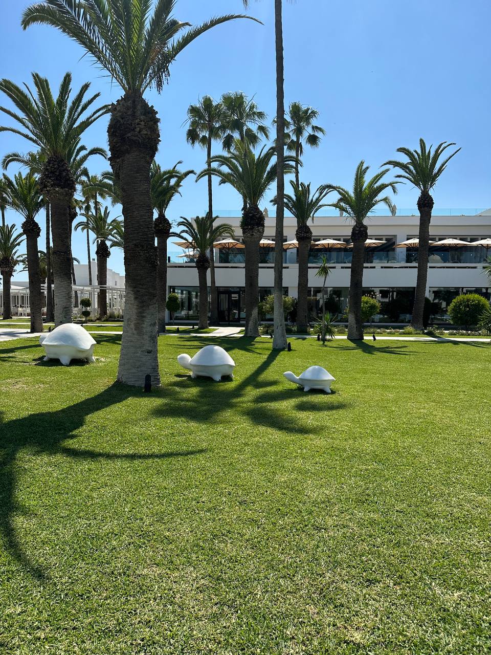 Фото The Orangers Garden